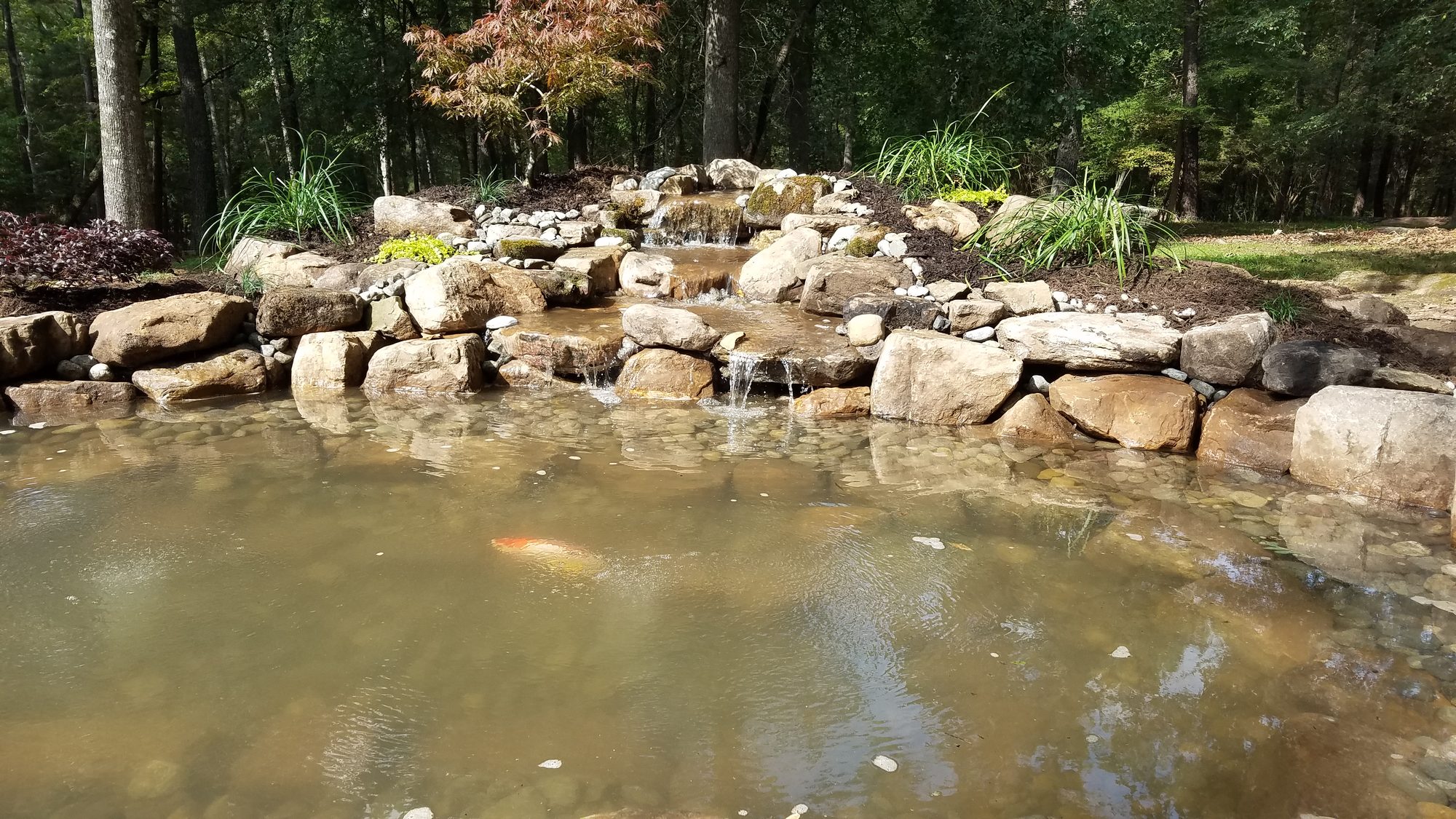 11x16 pond with koi, Chapel Hill, built by iPond and Landscapes