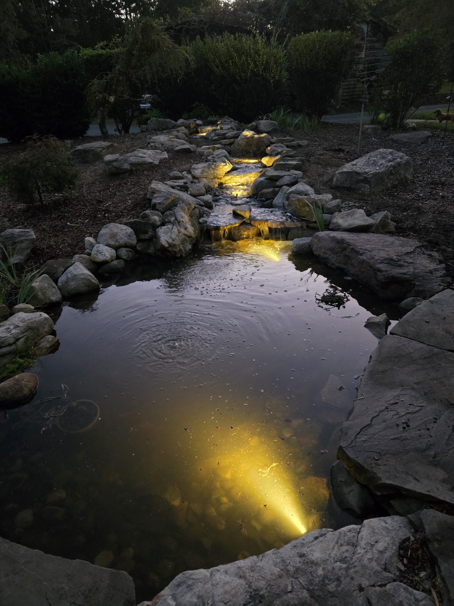 11x16 pond lit up at night, built by iPond and Landscapes
