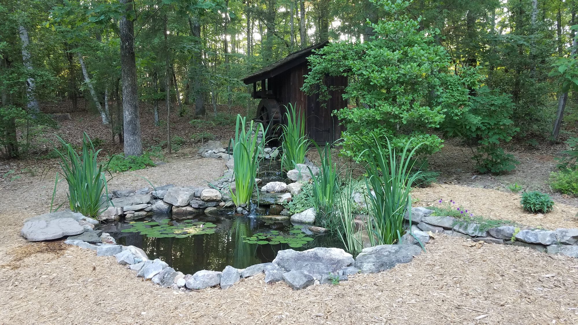 11x16 pond with waterwheel, built by iPond and Landscapes