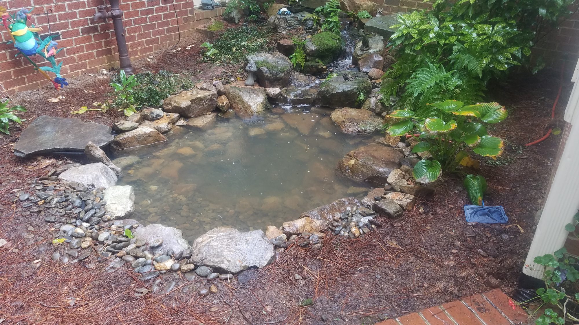 6x8 pond, Sanford, built by iPond and Landscapes